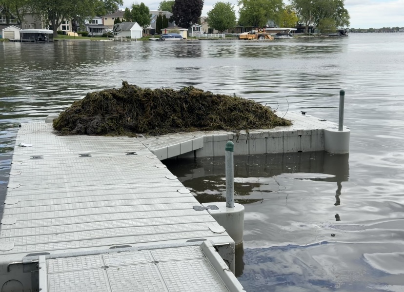 Lake maintenance team